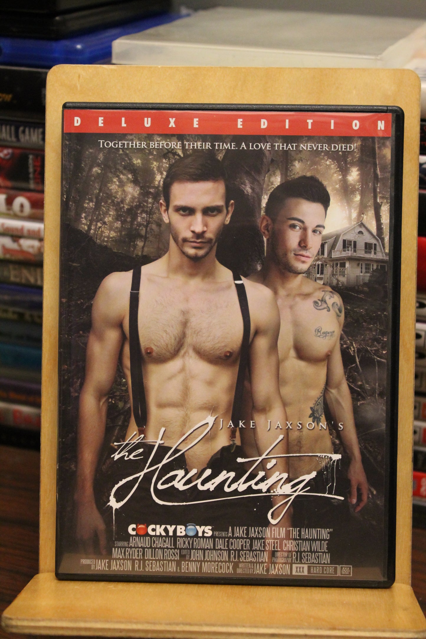 The Haunting in Connecticut 2: Ghosts of Georgia DVD