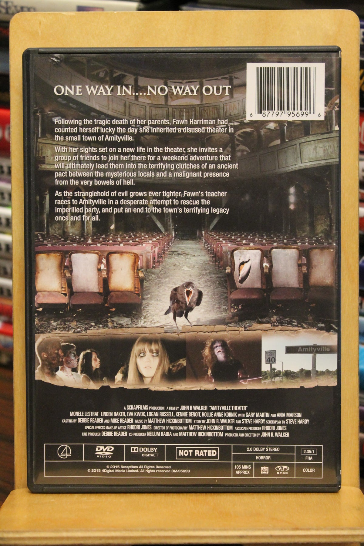 The Amityville Playhouse DVD