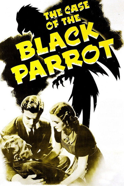 The Case of the Black Parrot DVD poster