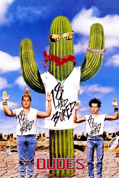 Dudes Blu-ray poster