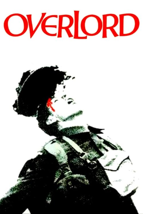 Overlord DVD poster