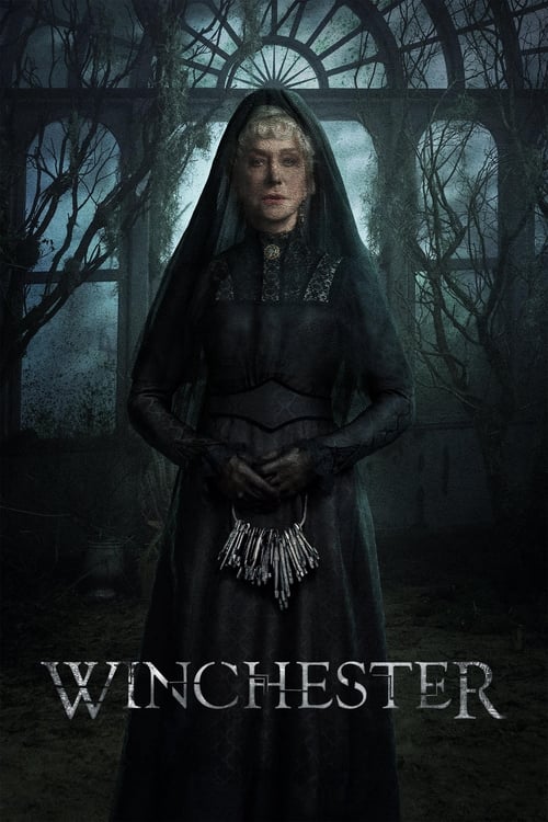 Winchester Blu-ray poster
