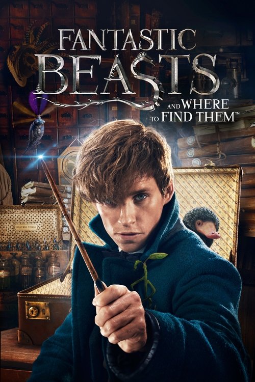 Fantastic Beasts and Where to Find Them Blu-ray poster