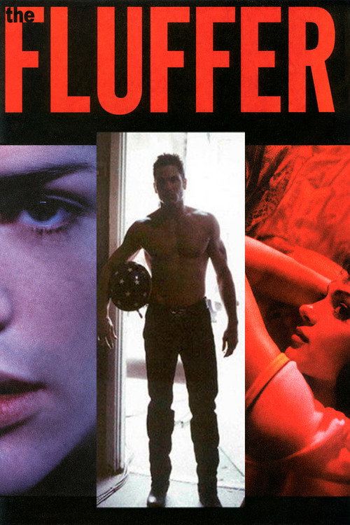 The Fluffer DVD poster