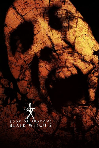 Book of Shadows: Blair Witch 2 DVD poster