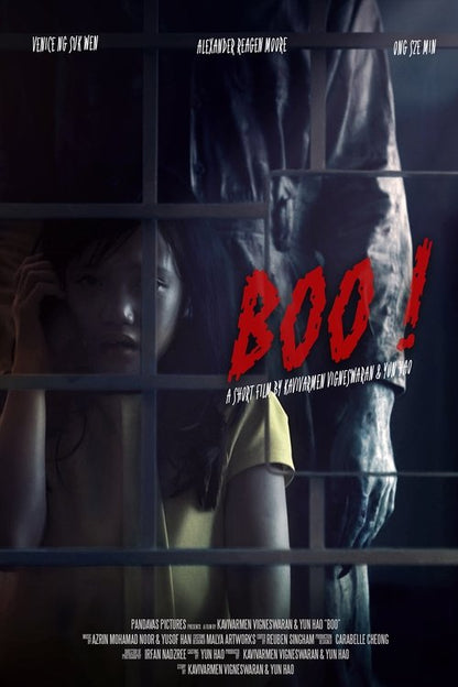 Boo! DVD poster