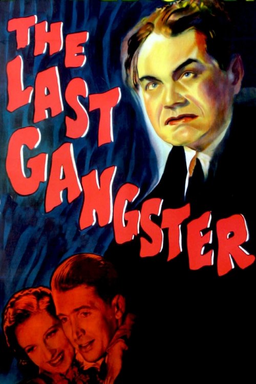 The Last Gangster DVD poster