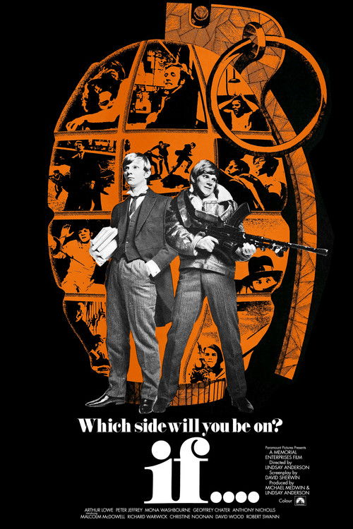 if.... Blu-ray poster