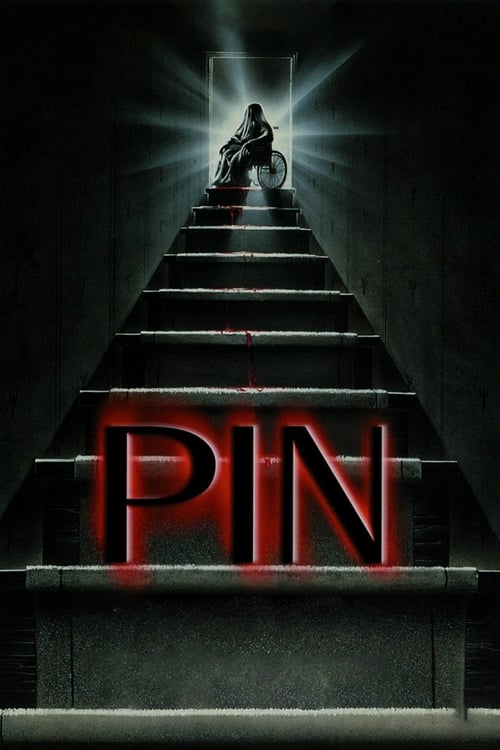Pin DVD poster