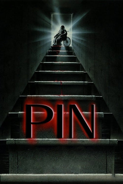 Pin DVD poster