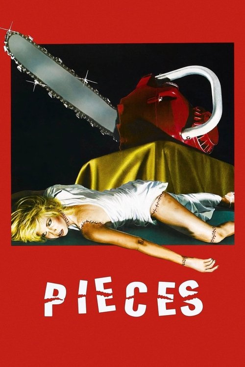Pieces DVD poster