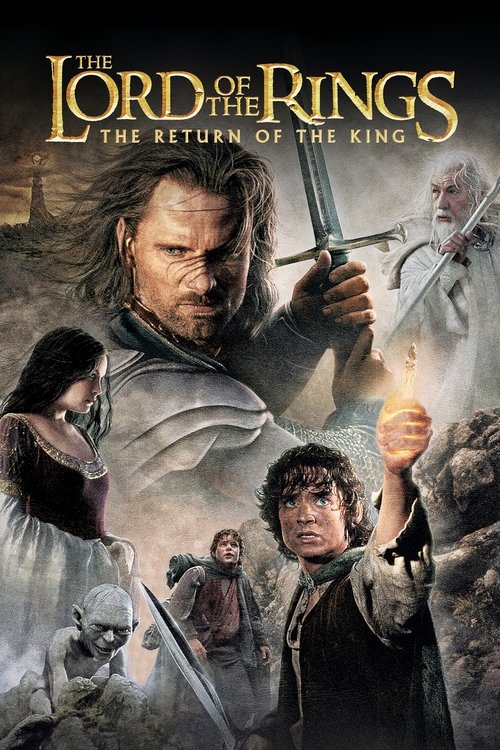 The Lord of the Rings: The Return of the King DVD poster