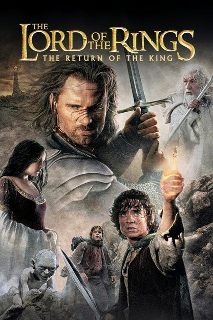 The Lord of the Rings: The Return of the King DVD poster