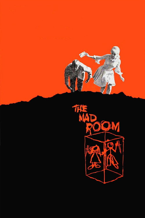The Mad Room DVD poster