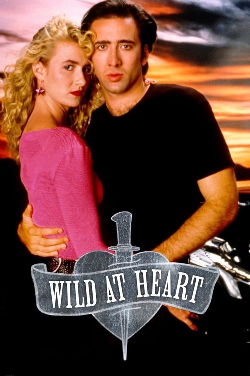 Wild at Heart DVD poster