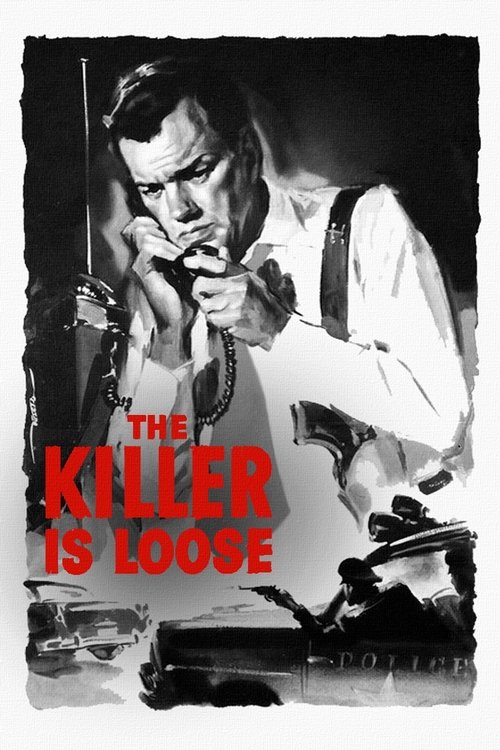 The Killer Is Loose DVD poster