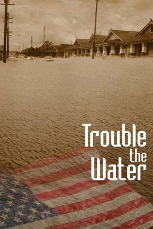 Trouble the Water DVD poster